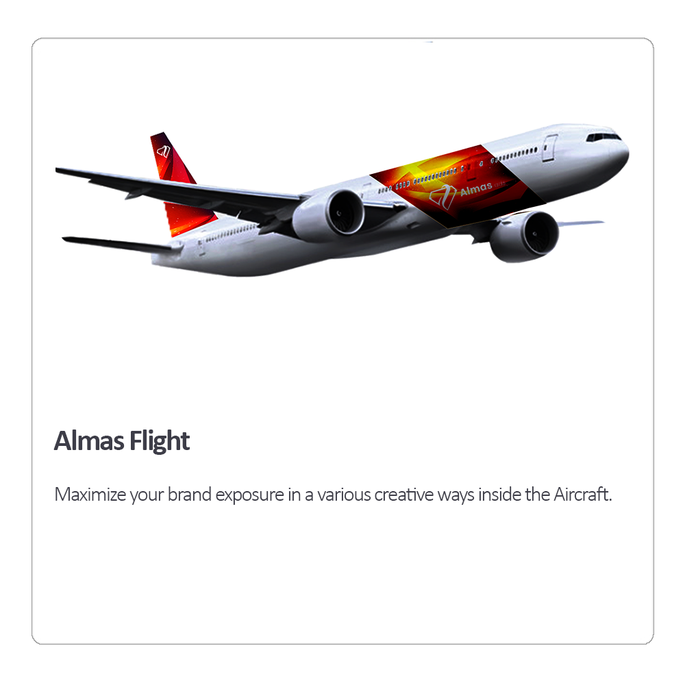 Border Flight